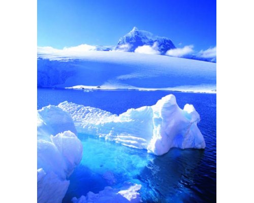 Desk Calendar DC 8
